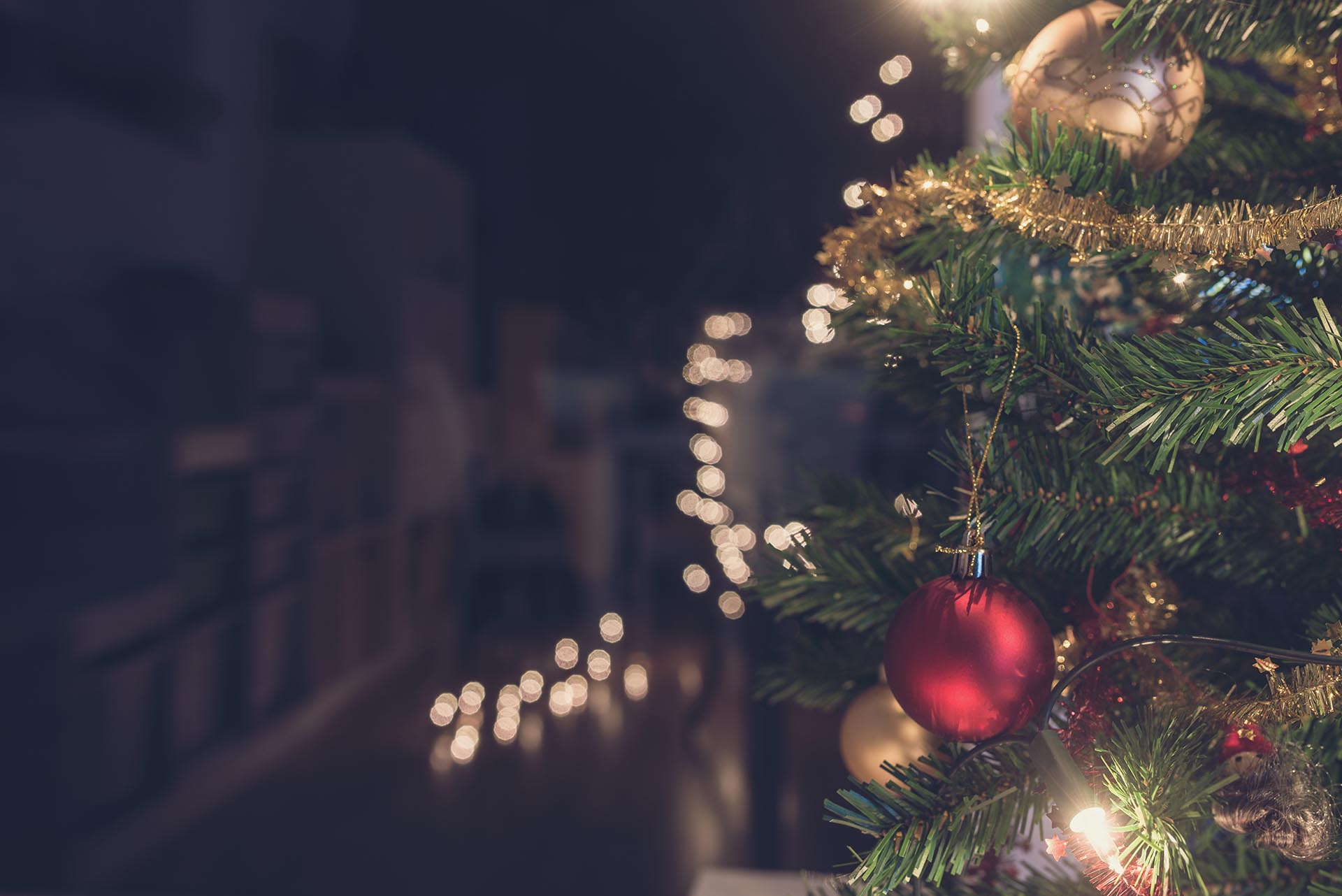 Christmas Day at the Royal Hotel
